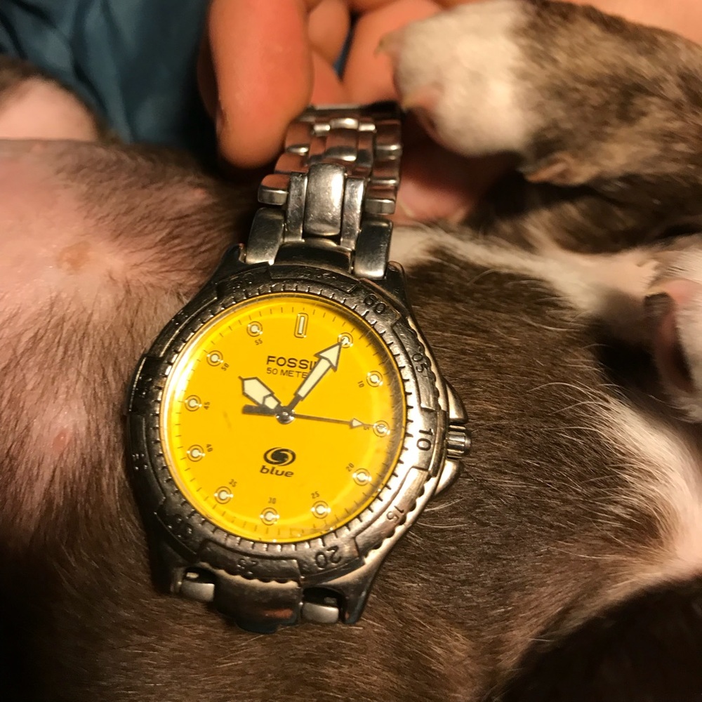 Men’s Blue 50 meters by fossil